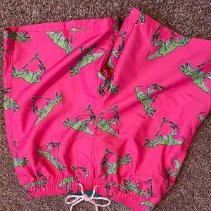 T-Rex swim trunks